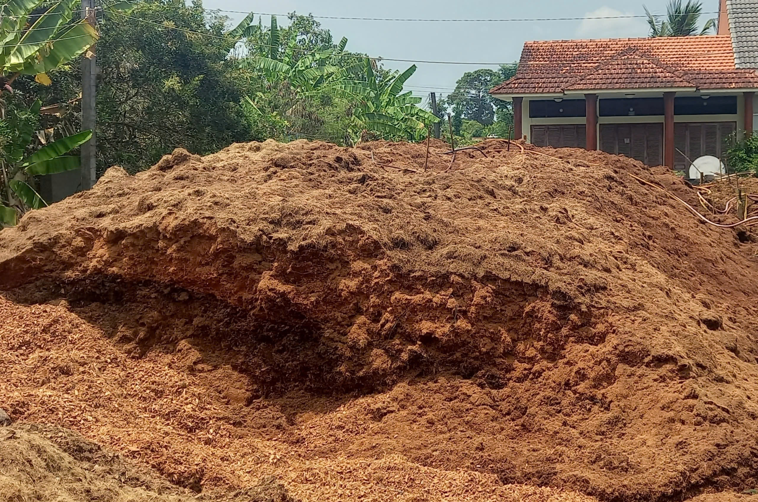 Phơi khô tự nhiên